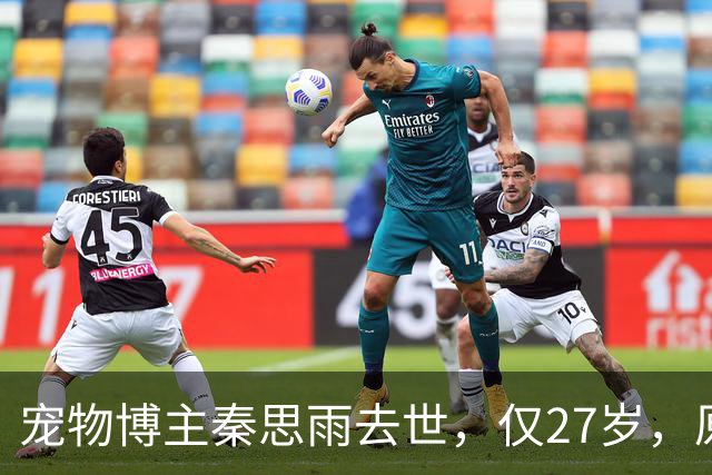 宠物博主秦思雨去世，仅27岁，原因曝光太痛心，疑与流浪猫狗有关