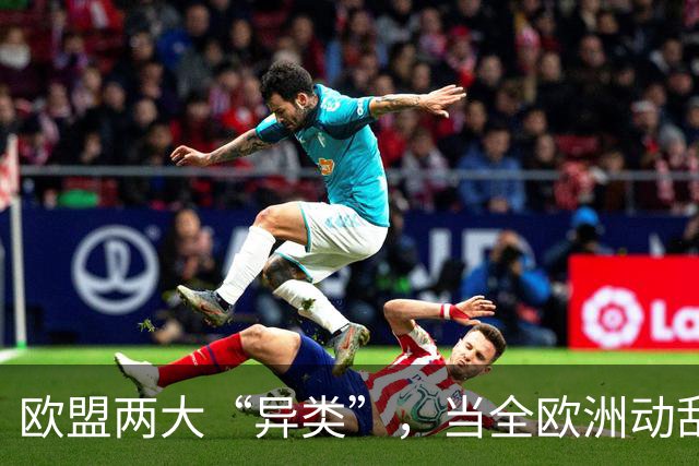 欧盟两大“异类”,当全欧洲动乱时,靠中国走上“捷径”躲过一劫